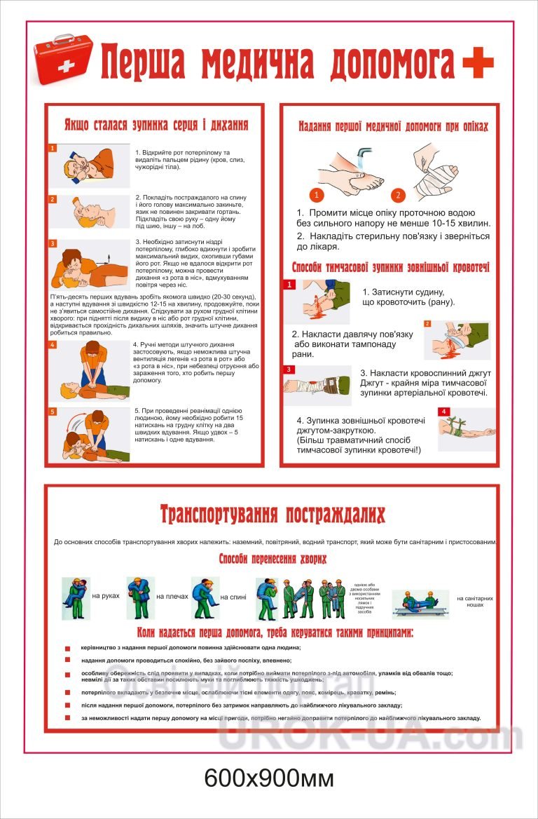 Кутиок в класі: основи першої медичної допомоги
