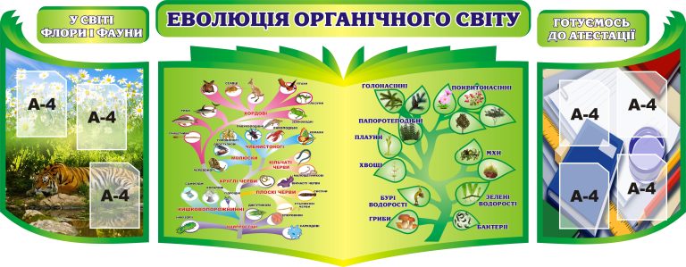 Оформлення куточка природи для шкільних знань