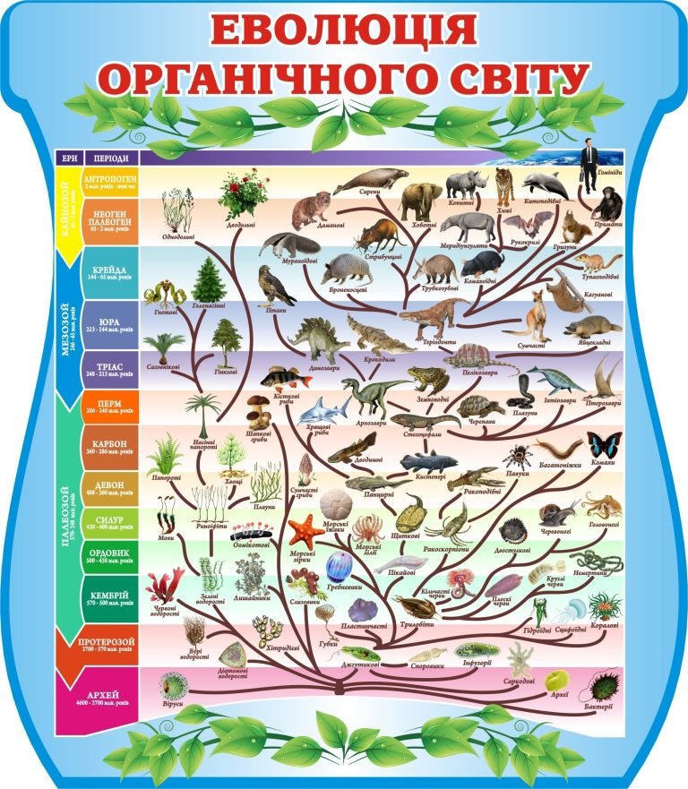 Еволюція органічного світу: навчальний стенд для школи