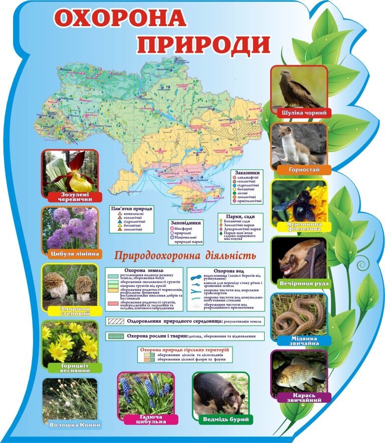 Збереження природи: інформаційний куточок для школярів