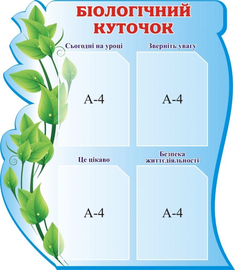 Екологічний дизайн для кабінету біології в школі