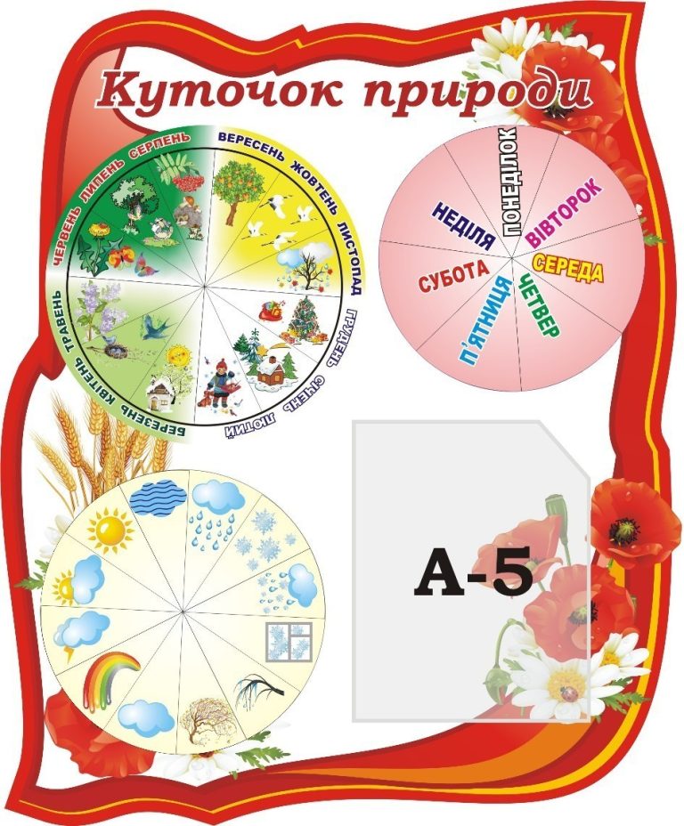 Ідеї для оформлення'Куточка природи' у школі