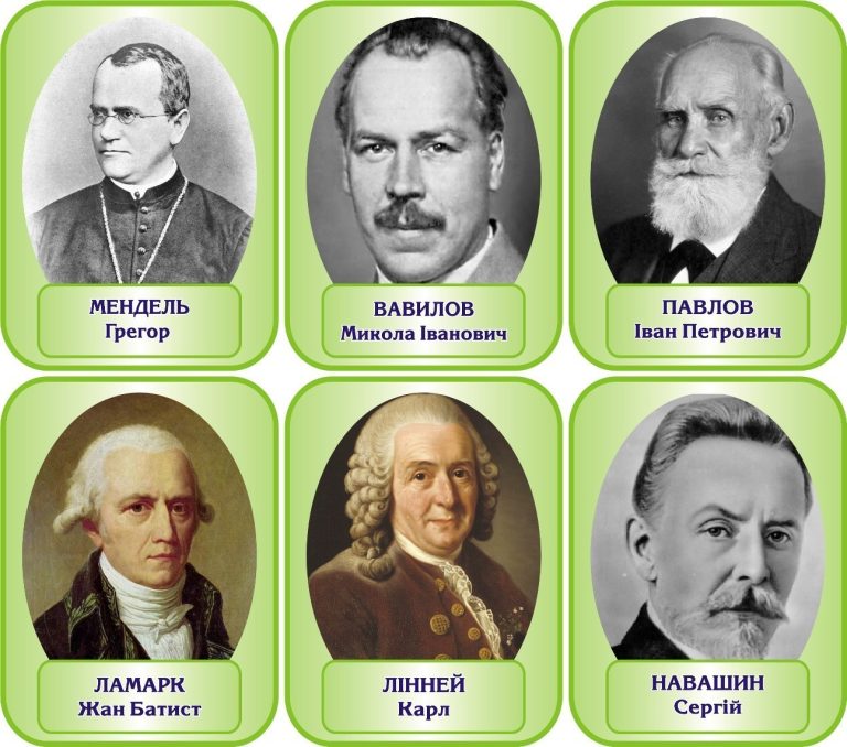 Видатні вчені для натхнення в кожному класі