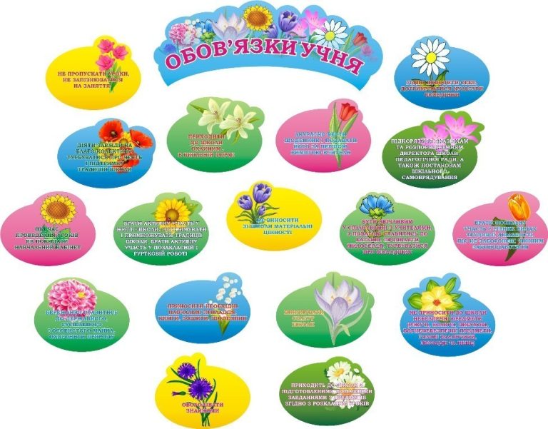 Оформлення шкільних кабінетів: обов'язки учня в інфографіці
