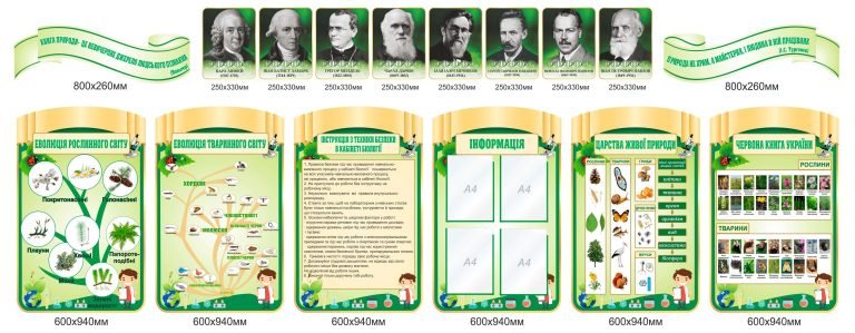 Ефективне оформлення кабінету біології: знання і творчість