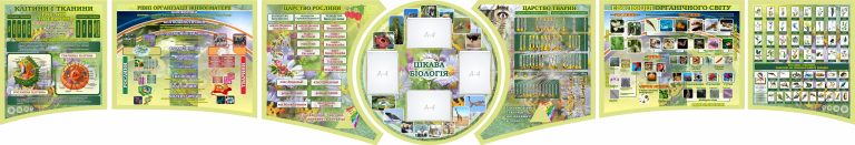 Оформлення біологічного куточка для сучасної школи