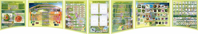 Екологічні стенди для біологічного кабінету школи