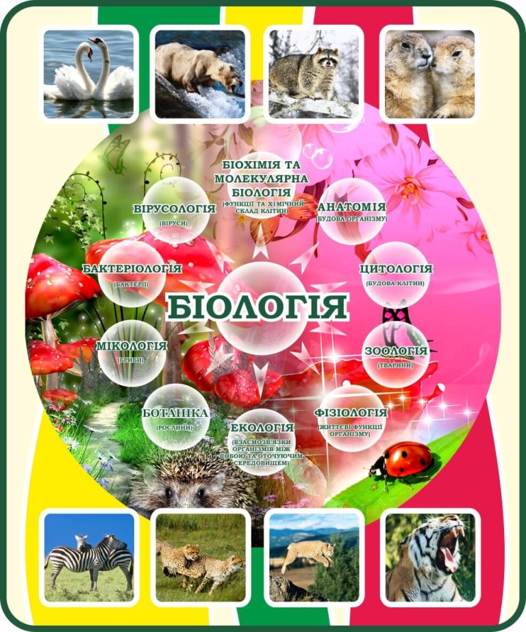 Стенд'Цікава Біологія'