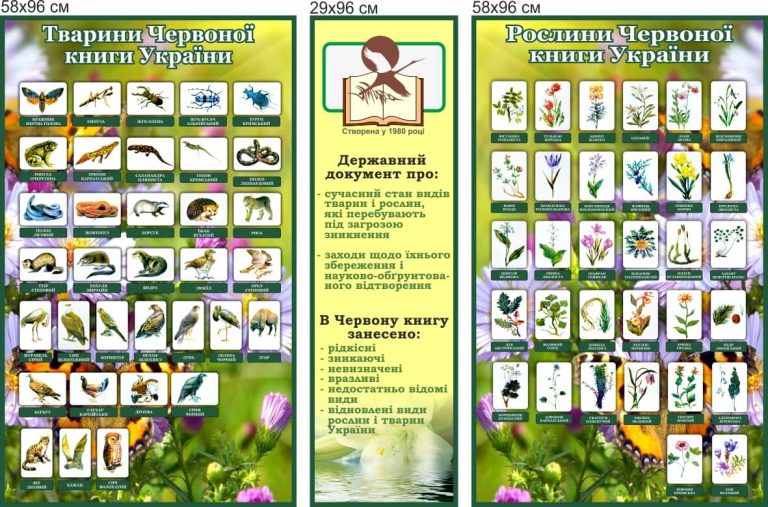 Освітні стенди про Червону книгу для школи