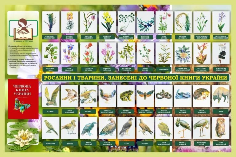 Цікаві факти про Червону книгу України для школи