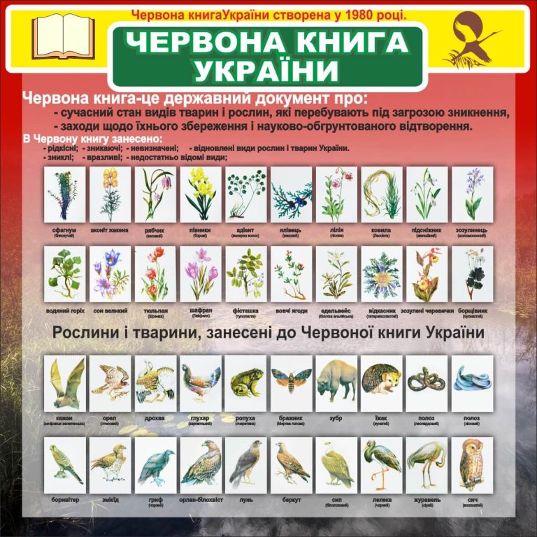 Червона книга України: охорона рослин та тварин