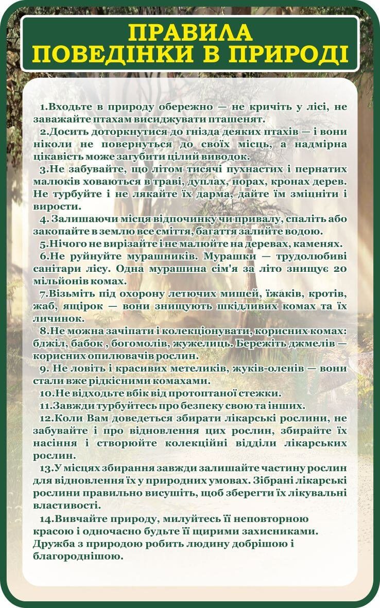 Поради для учнів: поведінка в природі