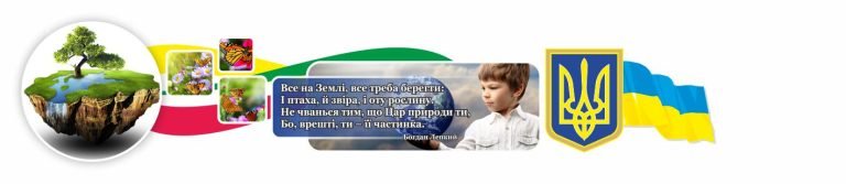 Оформлення шкільного простору: збережемо природу разом