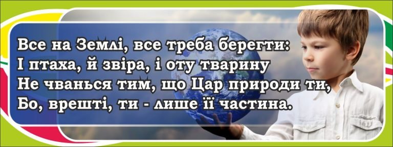 Бережи природу: важливе для шкільного оформлення