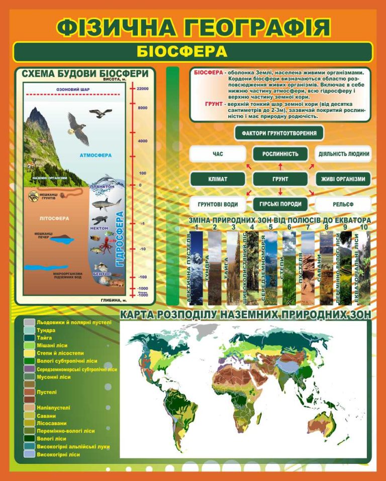 Вивчення біосфери: корисний стенд для географії