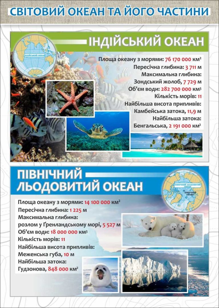 Цікаві факти про океани для шкільного стенда
