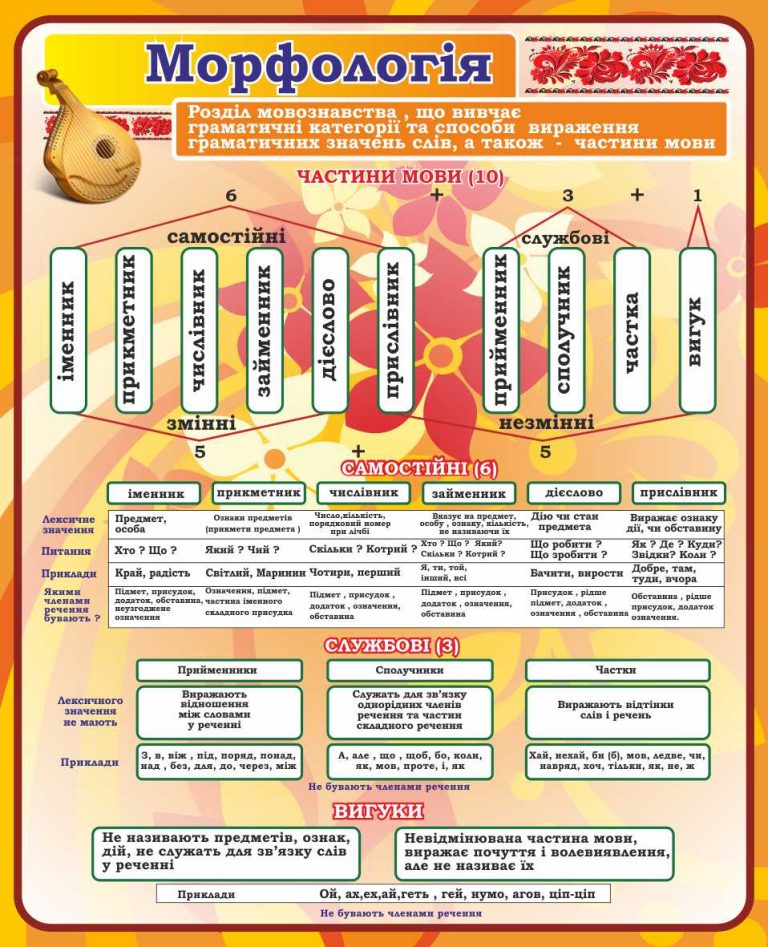Що таке морфологія: просте пояснення для школярів