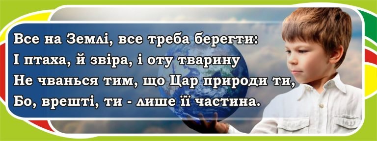 Екоосвіта в школі: турбота про планету разом