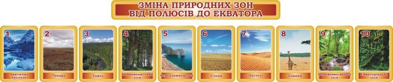 візуальна подорож природними зонами: від полюсів до екватора