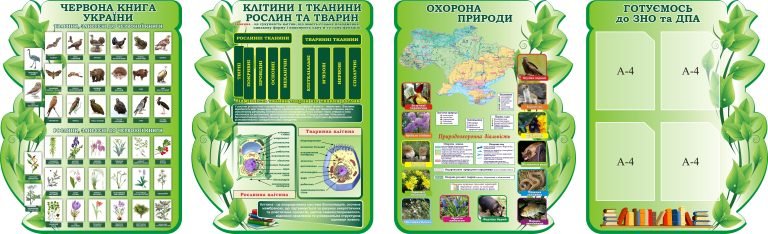 Стенди для кабінетів біології: освіта і природа разом