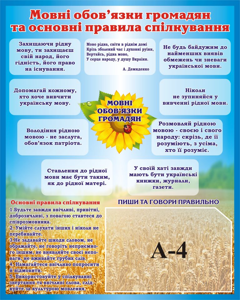 Оформлення шкільних кабінетів: мовні обов'язки громадян